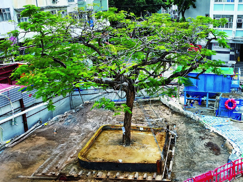 建造香港